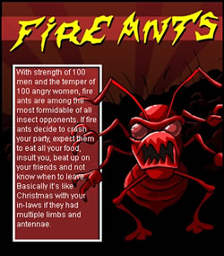 Fire Ants