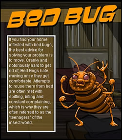 Bed Bugs