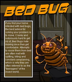 Bed Bugs